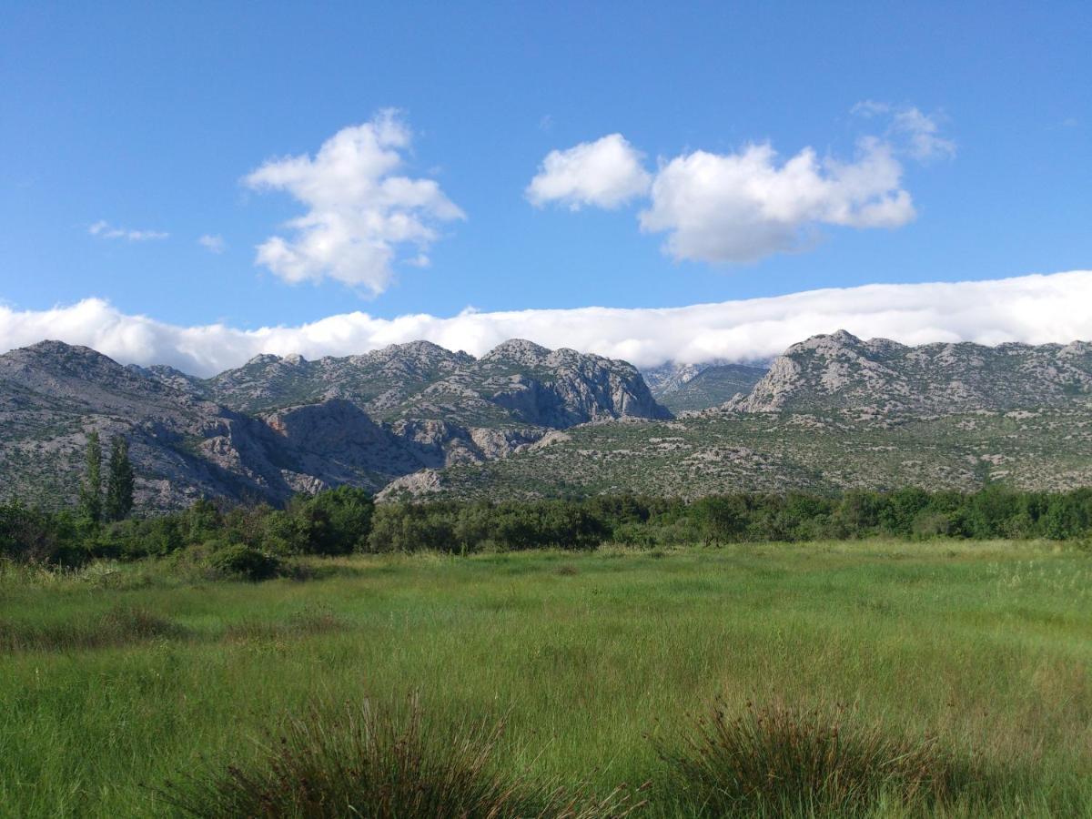 Apartments Amari Starigrad Paklenica Exterior photo